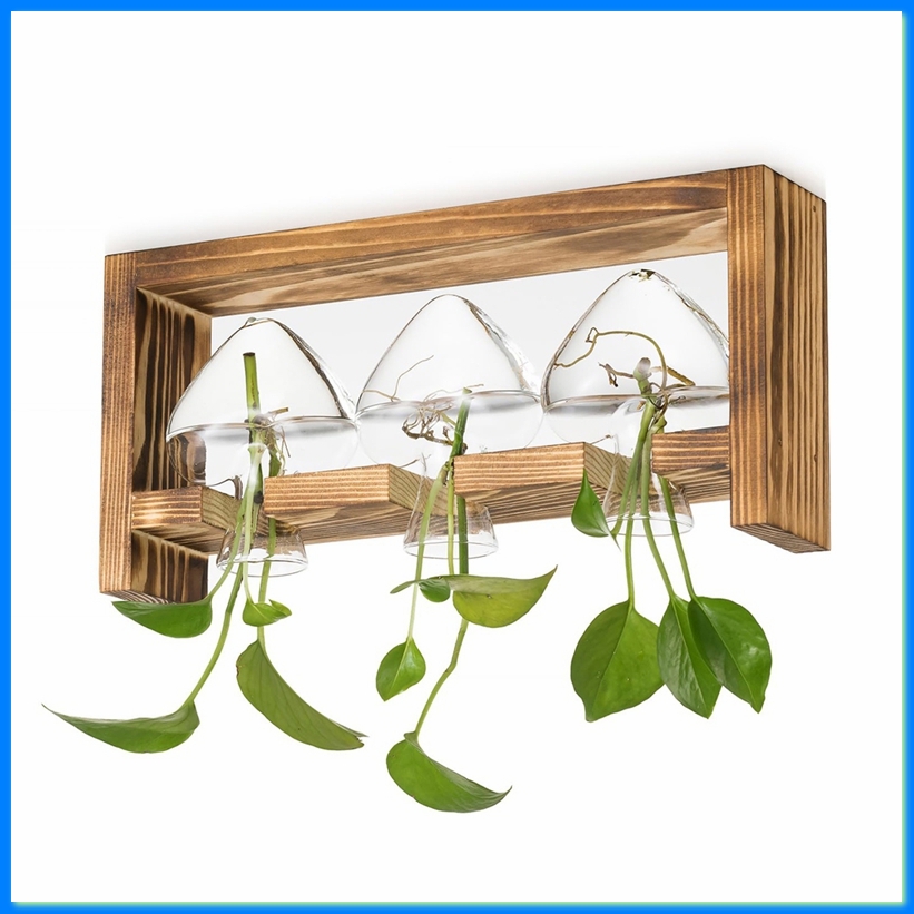 Стеклянная станция для размнож – обзор и цена Propagation Station Vase