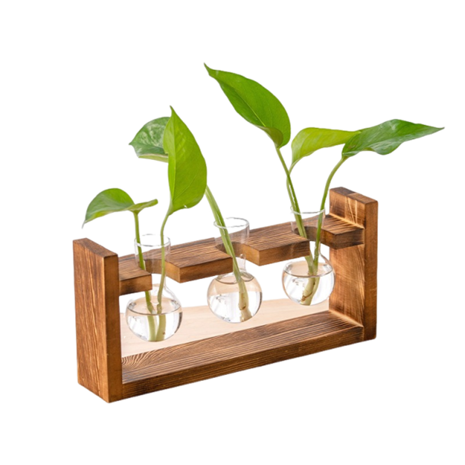 Вазы для домашнего офиса, гидр – обзор и цена Propagation Station Vase