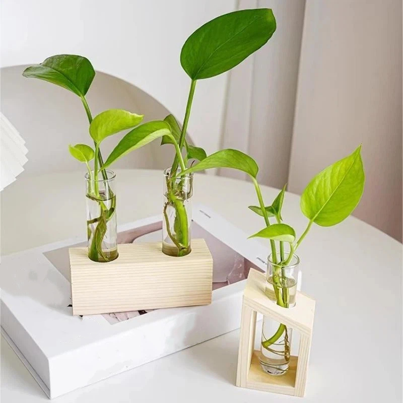 Стеклянная ваза-пробирка для в – обзор и цена Propagation Station Vase